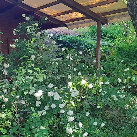 Ducathotel 3* Torrile