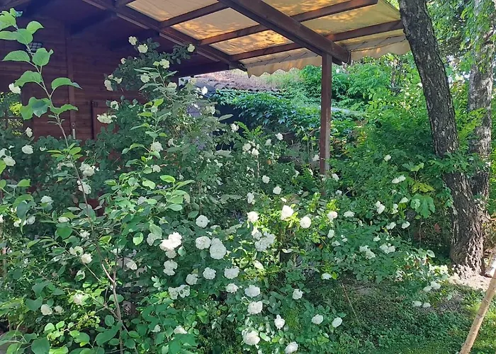 Ducathotel 3* Torrile